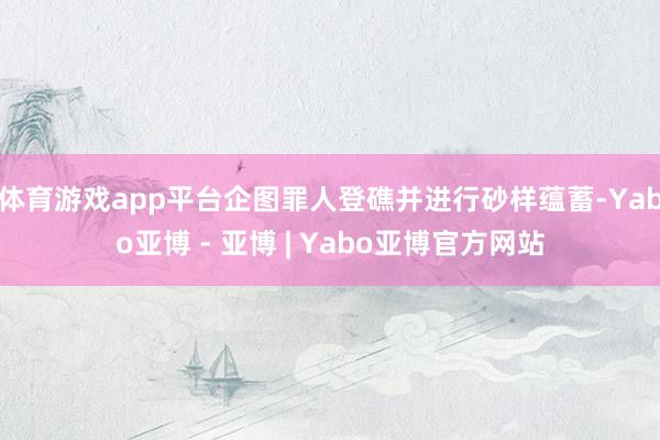 体育游戏app平台企图罪人登礁并进行砂样蕴蓄-Yabo亚博 - 亚博 | Yabo亚博官方网站