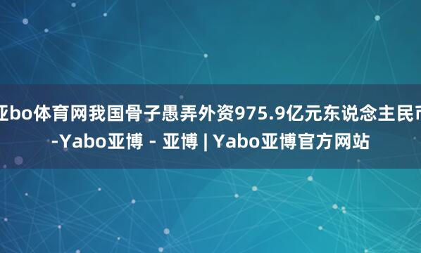 亚bo体育网我国骨子愚弄外资975.9亿元东说念主民币-Yabo亚博 - 亚博 | Yabo亚博官方网站
