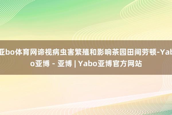 亚bo体育网谛视病虫害繁殖和影响茶园田间劳顿-Yabo亚博 - 亚博 | Yabo亚博官方网站