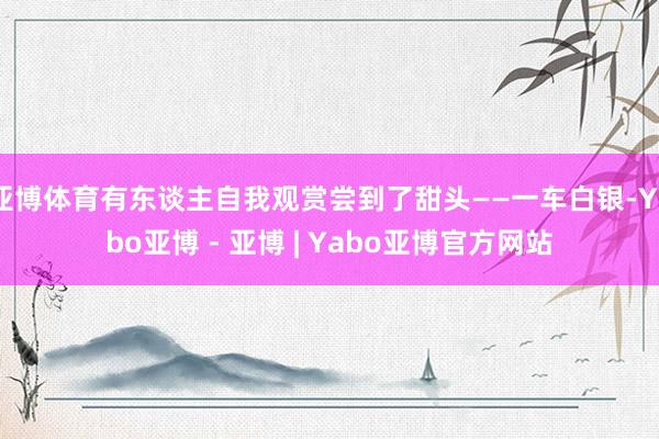亚博体育有东谈主自我观赏尝到了甜头——一车白银-Yabo亚博 - 亚博 | Yabo亚博官方网站